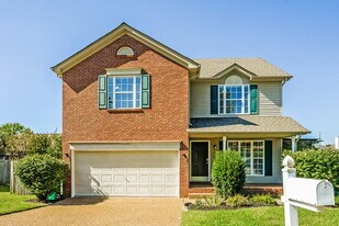 208 Chandler's Pass Ct in Nashville, TN - Building Photo