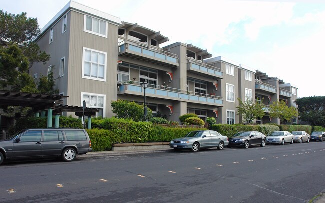 The Ark Apartments in Belvedere Tiburon, CA - Building Photo - Building Photo