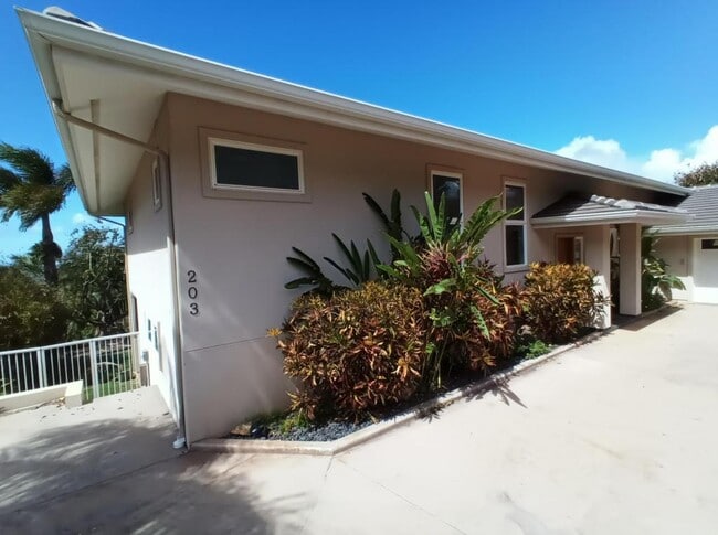 203 Heleuma Pl in Kihei, HI - Building Photo - Building Photo