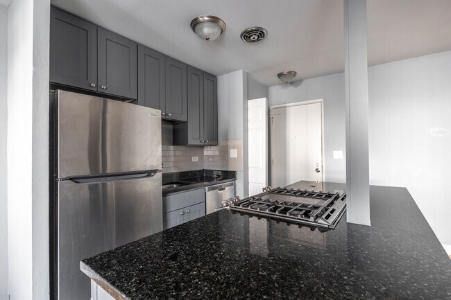 656 W Grace St, Unit 2 in Chicago, IL - Foto de edificio - Building Photo