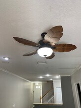 14916 Salamander Pl in Tampa, FL - Building Photo - Building Photo
