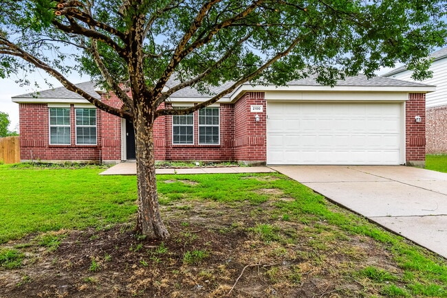 property at 2100 Aster Trail