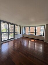 222 E Pearson St in Chicago, IL - Building Photo - Building Photo