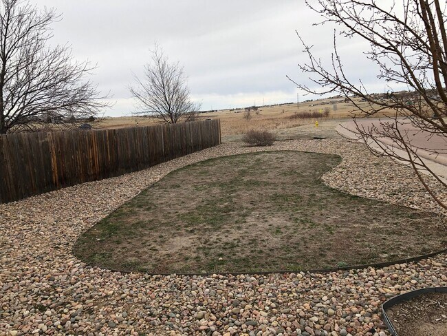 6507 Gelbvieh Rd in Falcon, CO - Building Photo - Building Photo