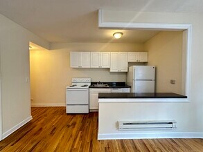 553 W Aldine Ave in Chicago, IL - Building Photo - Building Photo