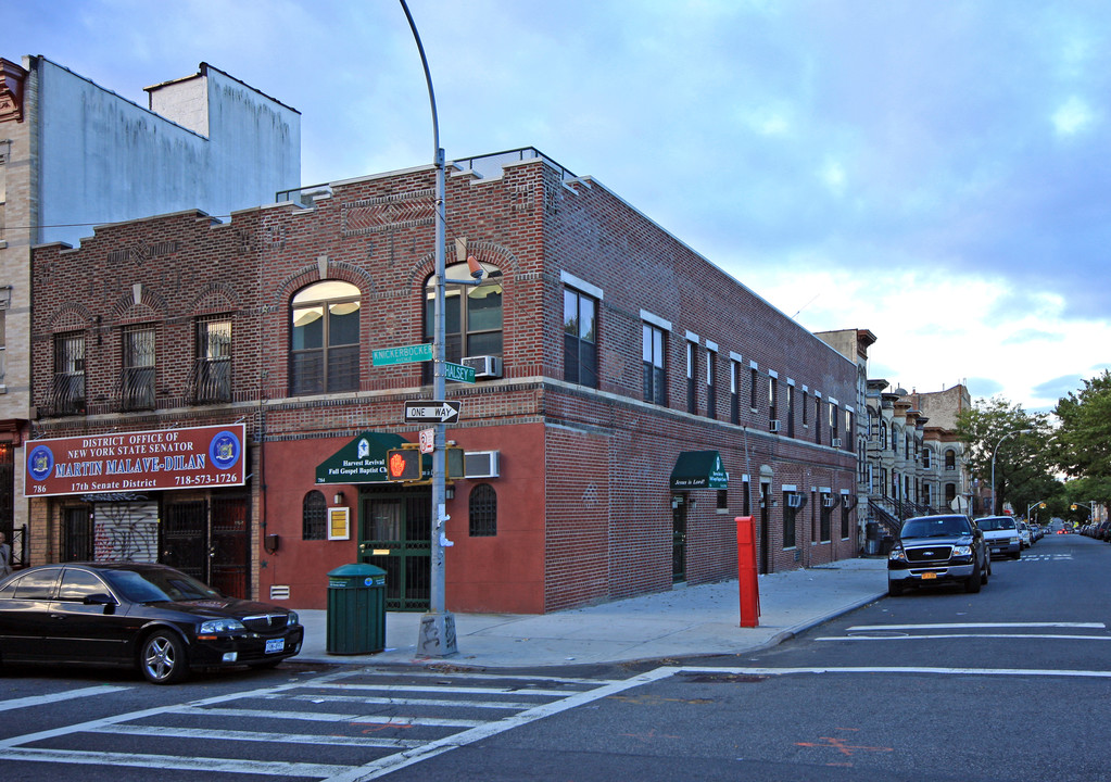 784 Knickerbocker Ave in Brooklyn, NY - Building Photo