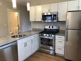 36 Shamrock St in Worcester, MA - Building Photo