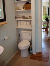 126 Rumbough Pl in Asheville, NC - Building Photo - Building Photo