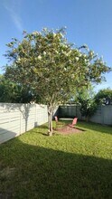 14 Zacatecas Ct in Brownsville, TX - Building Photo - Building Photo