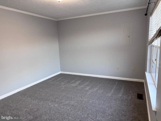 121 Hampton Ct in Winchester, VA - Building Photo - Building Photo