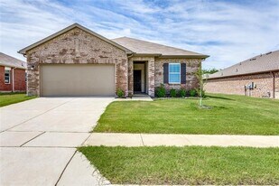 825 Cherry Blossom St in Anna, TX - Building Photo