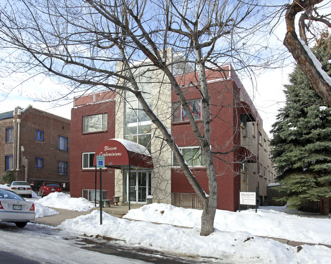 Blossom Apartments in Denver, CO - Foto de edificio - Building Photo