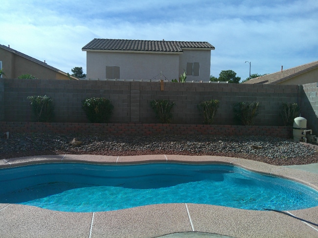 973 Cedar Pines St in Henderson, NV - Building Photo - Building Photo