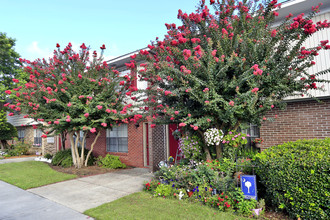 Townhouse Village in Charleston, SC - Building Photo - Building Photo