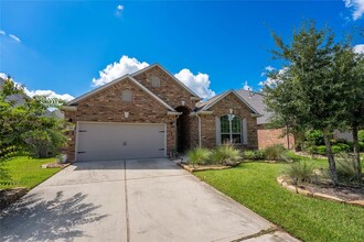 193 Climbing Oaks Pl in Montgomery, TX - Building Photo - Building Photo