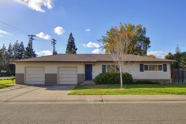 4101 Newell Street in Sacramento, CA - Foto de edificio - Building Photo