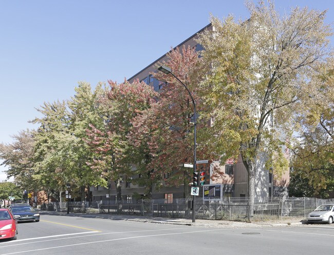 3760 E Sainte-Catherine O in Westmount, QC - Building Photo - Building Photo