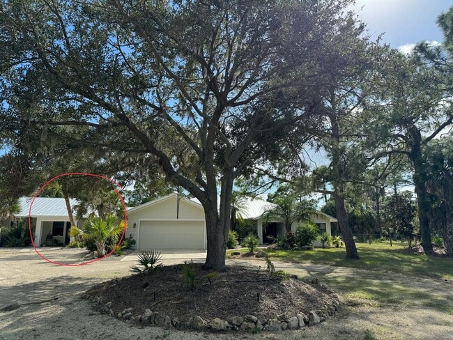 property at 242 Snyder Dr