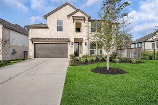 215 Flower Moon Ct in Willis, TX - Building Photo