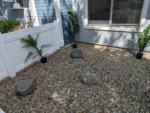 137 Dogwood Ln in Aliso Viejo, CA - Foto de edificio - Building Photo