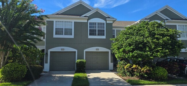 property at 10123 Pink Palmata Ct