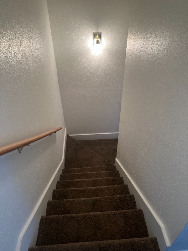 203 Sprucewood Ln, Unit D in San Antonio, TX - Foto de edificio - Building Photo