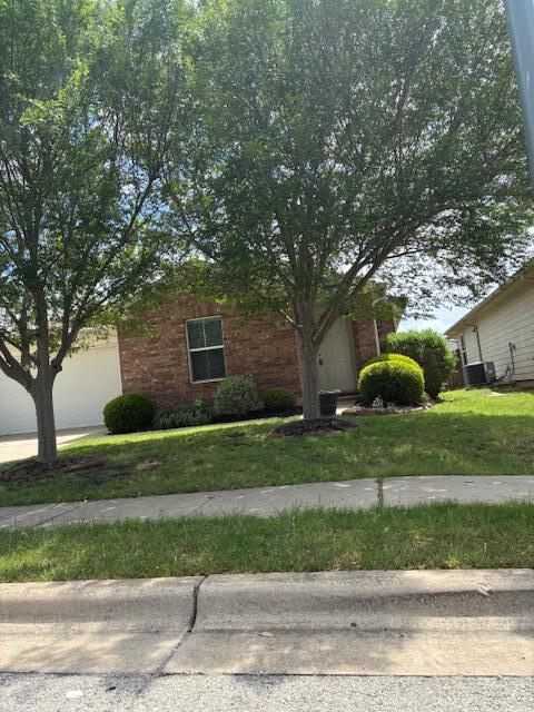 13237 Forest Sage St in Manor, TX - Building Photo - Building Photo