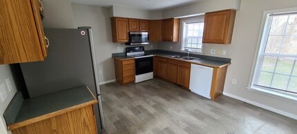 11371 Gabriel St in Romulus, MI - Building Photo - Building Photo