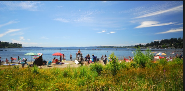 11717 93rd Ave NE in Kirkland, WA - Building Photo - Building Photo