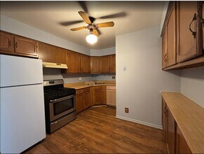 231 S Gregory St in Aurora, IL - Building Photo - Building Photo