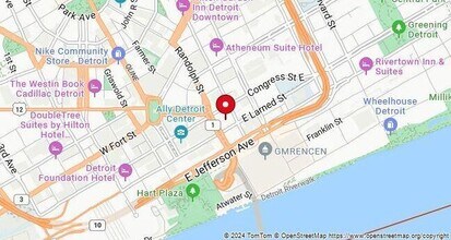 555 Brush St in Detroit, MI - Foto de edificio - Building Photo