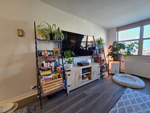 40 E Cedar St in Chicago, IL - Building Photo - Building Photo