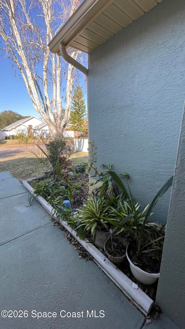 2555 Street Pauls Dr in Titusville, FL - Building Photo - Building Photo