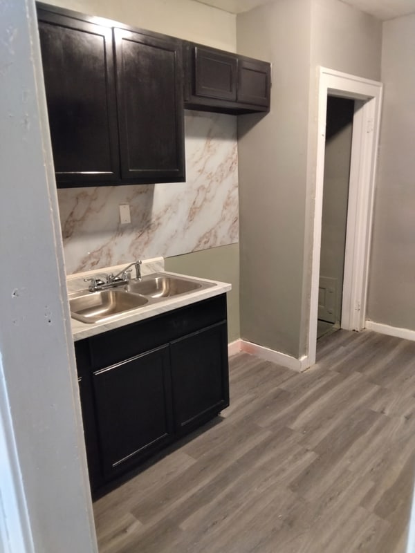 19265 Riopelle St in Highland Park, MI - Building Photo - Building Photo