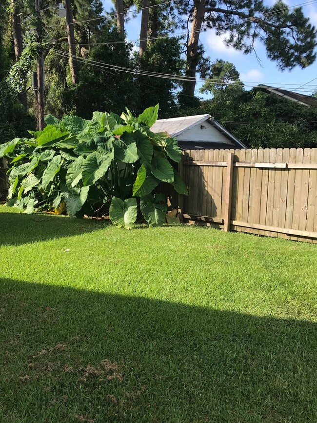 806 E University Ave in Lafayette, LA - Building Photo - Building Photo