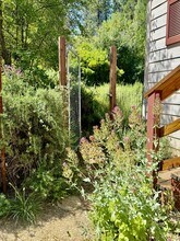 27397 New School Rd in Nevada City, CA - Building Photo - Building Photo