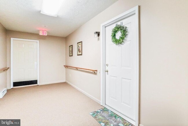 145 Hailey Ln in Strasburg, VA - Building Photo - Building Photo