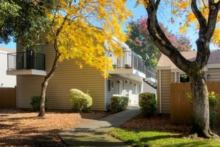 Stony Creek Apartments