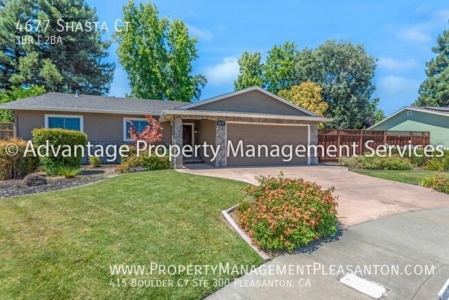4677 Shasta Ct in Pleasanton, CA - Building Photo - Building Photo