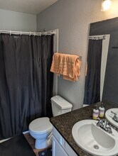 4653 E 98th Pl in Thornton, CO - Building Photo - Building Photo