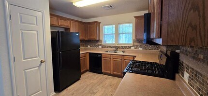 1403 Davis Mountain Loop in Cedar Park, TX - Building Photo - Building Photo
