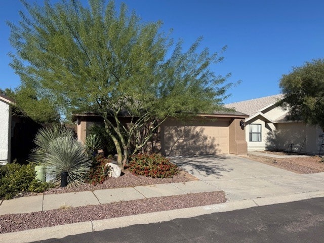 1283 N Sandecker Ln in Tucson, AZ - Building Photo - Building Photo