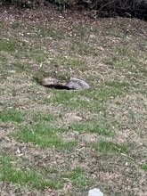 223 Vreeland St in Chattanooga, TN - Building Photo - Building Photo