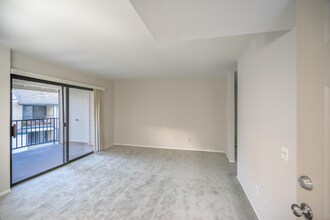 8538 Summerdale Rd in San Diego, CA - Building Photo - Building Photo