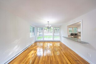 119 Chestnut St, Unit 119 in Brookline, MA - Building Photo