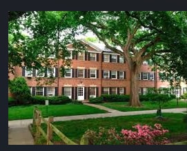 5008 Columbia Pike, Unit #3