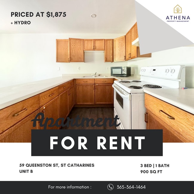 property at 59 Queenston St
