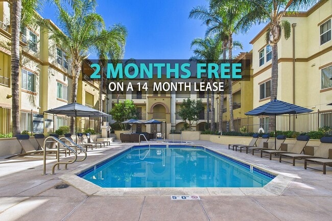 Sofi at Topanga Canyon