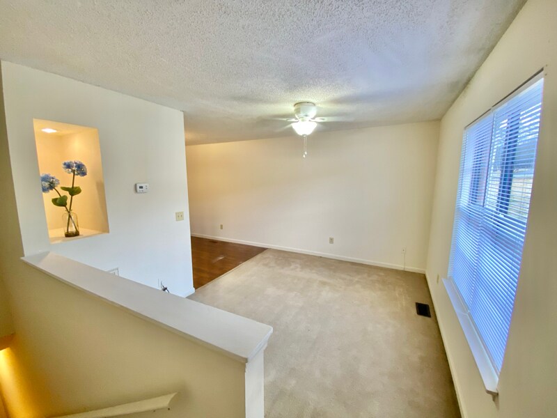 805 Old Gray Station Rd in Johnson City, TN - Building Photo
