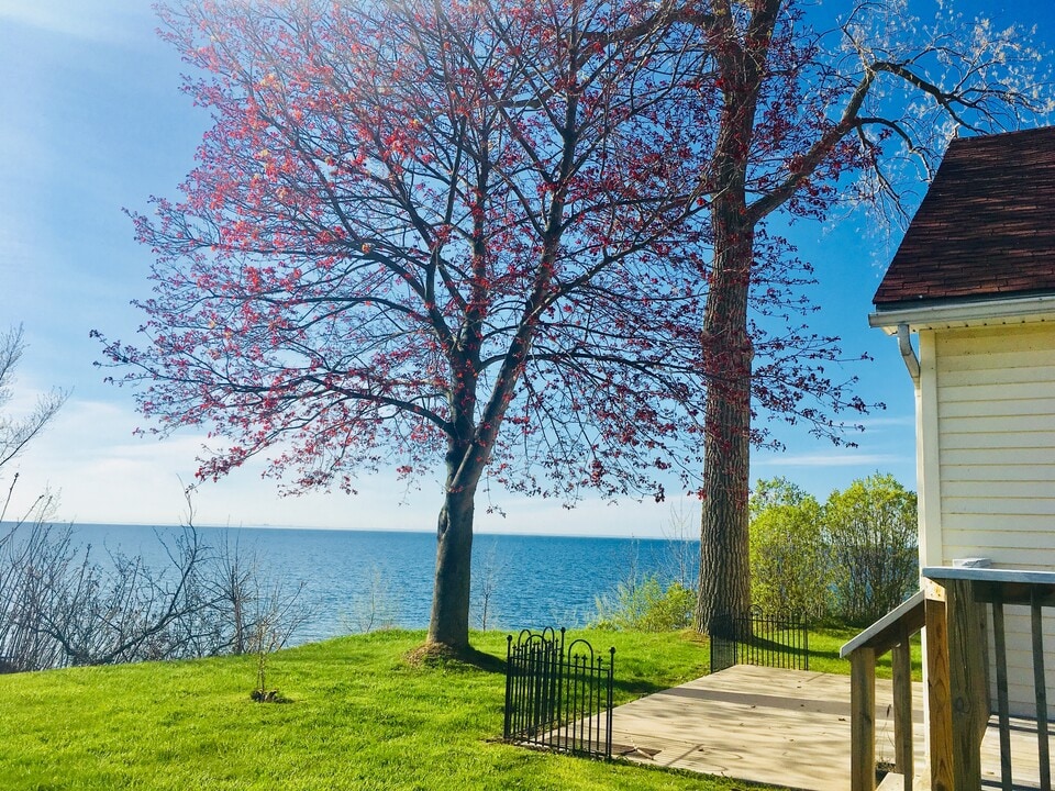 3064 Maple Ave in Wilson, NY - Building Photo
